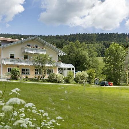 Landgasthof Zum Hirschenstein, Pension Garni Sankt Englmar Zewnętrze zdjęcie