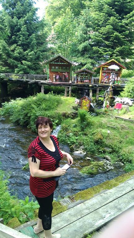 Landgasthof Zum Hirschenstein, Pension Garni Sankt Englmar Zewnętrze zdjęcie
